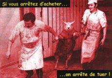 photo cannibal