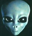 photo alien