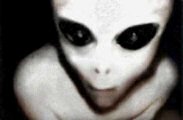photo alien