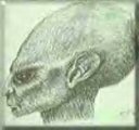 photo alien