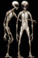 photo alien