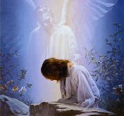 image l'ange nous veille