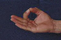photo chin mudra