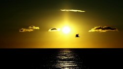 sungazing