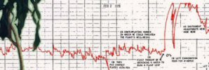 L'effet Backster : graphique avec polygraphe sur plante verte